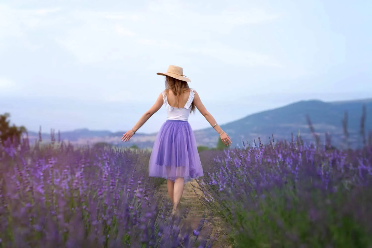 Festa_della_lavanda_campi_di_lavanda_Italia